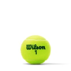 Wilson US Open Green Tournament Transition Tennis Ball (Box Of 24 Cans) 8 Wilson US Open Green Tournament Transition Tennis Ball (Box Of 24 Cans) -Ball Sports Related 6674afc54e6c912e0d01f968dd9f4f89f5da9619 WRT137500 Green Wilson 1 Ball
