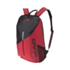 Head Tour Team Black & Red Backpack (2022) -Ball Sports Related TourTeamBackpackBlackandRed